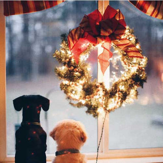 P.F. Candle Co Mistletoe Special Mood two puppies looking out window next to christmas garland with fairy light
